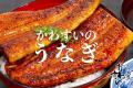 父の日ギフトの定番「うなぎ」、5月の早割で一番売れ 父の日ギフトの定番「うなぎ」、5月の早割で一番売れ