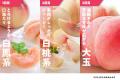 毎年完売の産直人気シリーズ！Playest JAPANさんが作