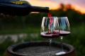 「ボルドー・プリムール 2025」TERRADA WINE MARKETに