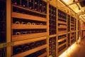 「ボルドー・プリムール 2025」TERRADA WINE MARKETに