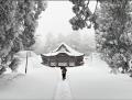 鳥取県大山寺エリアに株式会社 大山流域研究所を設立 