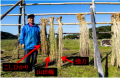 被災した鳥取県の地元酒蔵をホテルで応援!地域を味わ 被災した鳥取県の地元酒蔵をホテルで応援!地域を味わ
