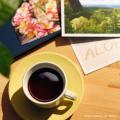 ドトールコーヒーショップで6月1日より　お中元や贈り