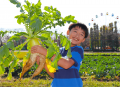 【遊園地むさしの村】≪最大半額≫全国共通ロゴマークが 【遊園地むさしの村】≪最大半額≫全国共通ロゴマークが