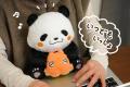 【ぱんちゃんぬいぐるみ】がヴィレヴァンオンラインに