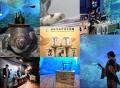 【仙台うみの杜水族館】日本酒を飲んで酒蔵を応援！宮