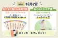 アニコム損保の第十一回「どうぶつ川柳」作品募集を開 アニコム損保の第十一回「どうぶつ川柳」作品募集を開