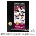 2026 World Baseball Classic TM 実使用メモリアルコ 2026 World Baseball Classic TM 実使用メモリアルコ