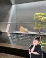 京町湯屋SOKOTOTO、2代目看板娘に『 宮本ましろ 』さ
