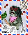 雑誌『FUDGE』初のドッグイベント『FUDGE DOG Marche