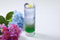 ココロゴトカフェが6月病予防として「紫陽花フェア」 ココロゴトカフェが6月病予防として「紫陽花フェア」