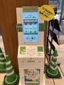 けやきひろばで「初夏のけやき彩」を6月5日(金)utf-8