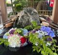 【相模原市】『はやぶさWEEK×中央区花手水』『あじさ