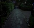 【有栖川宮記念公園の安心安全を照らす】 【有栖川宮記念公園の安心安全を照らす】