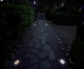 【有栖川宮記念公園の安心安全を照らす】 【有栖川宮記念公園の安心安全を照らす】