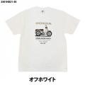 Honda SUPER CUB 50CC TEEが「成田空港ターミナル3」