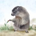 マーモットの生態観察から生まれた詩絵本『ぽてぽての