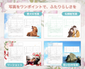 婚姻届にお気に入りの写真を入れられる新仕様に対応! 婚姻届にお気に入りの写真を入れられる新仕様に対応!