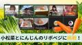 【不登校・小中学生対象】夏休みの生活リズムを守る! 【不登校・小中学生対象】夏休みの生活リズムを守る!