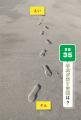 答えに気づけば必ず二度見する! 全問写真による出題 答えに気づけば必ず二度見する! 全問写真による出題