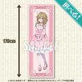 TVアニメ『サイレント・ウィッチ 沈黙の魔女の隠しご