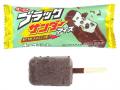 爽快感とパリパリ・ゴリゴリ食感のチョコミントアイス 爽快感とパリパリ・ゴリゴリ食感のチョコミントアイス