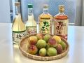 “初夏の風物詩” 酒蔵の「本格梅酒の仕込み」開始