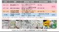 建設現場から排出される廃プラのケミカルリサイクルを