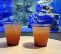 【すみだ水族館】世界自然遺産 小笠原諸島をもっutf-8
