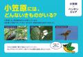 【すみだ水族館】世界自然遺産 小笠原諸島をもっutf-8