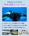 オンラインサマースクール2026開校「世界に一つだけの
