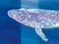 日本橋高島屋S.C.本館のショーウィンドーが「水族館」