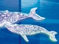 日本橋高島屋S.C.本館のショーウィンドーが「水族館」