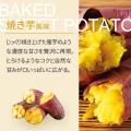 完売後も再販希望の声多数！THE PROTEIN ソイプロテイ