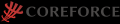 コンディショニング アクセサリー「COREFORCE（コアフ