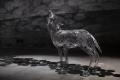 アートファン50万人が訪れるアートのまち中之条で、作