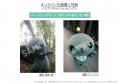 教育番組 タマ、写真集発売記念イベントが開催決定！ 