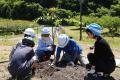 SDGsの取り組みで植林活動「セントレアといなべ市のSD
