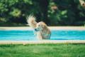 【愛犬と涼しく夏旅！夏季特別プラン最大15％OFF】1日