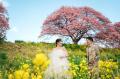 結婚をきっかけに、静岡を好きになる。県外利用者50% 結婚をきっかけに、静岡を好きになる。県外利用者50%