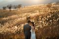 結婚をきっかけに、静岡を好きになる。県外利用者50% 結婚をきっかけに、静岡を好きになる。県外利用者50%