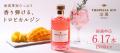 トロピカル香るクラフトジン「TROPICAL GIN 燦果 -san