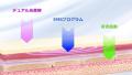 SNSで3000万回再生突破！数々のTV番組で初の鼻専用美