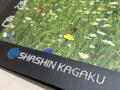 「紙に刺繍する」新しい印刷加工サービスを開始