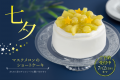 【椿屋珈琲・ダッキーダック】国産マスクメロンの贅沢
