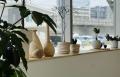 “植物と暮らす”をコンセプトにしたグリーン＆インテリ