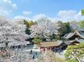 神奈川県西・秦野市で「名水とご縁で結ぶ」 神奈川県西・秦野市で「名水とご縁で結ぶ」
