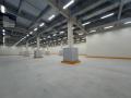 「ルネロジ市川II」竣工