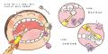 【電子版を無料公開】「子どもが進んで歯みがきをする