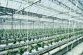 AGRIST、燃料費削減と収穫ロボット活用による「次世代